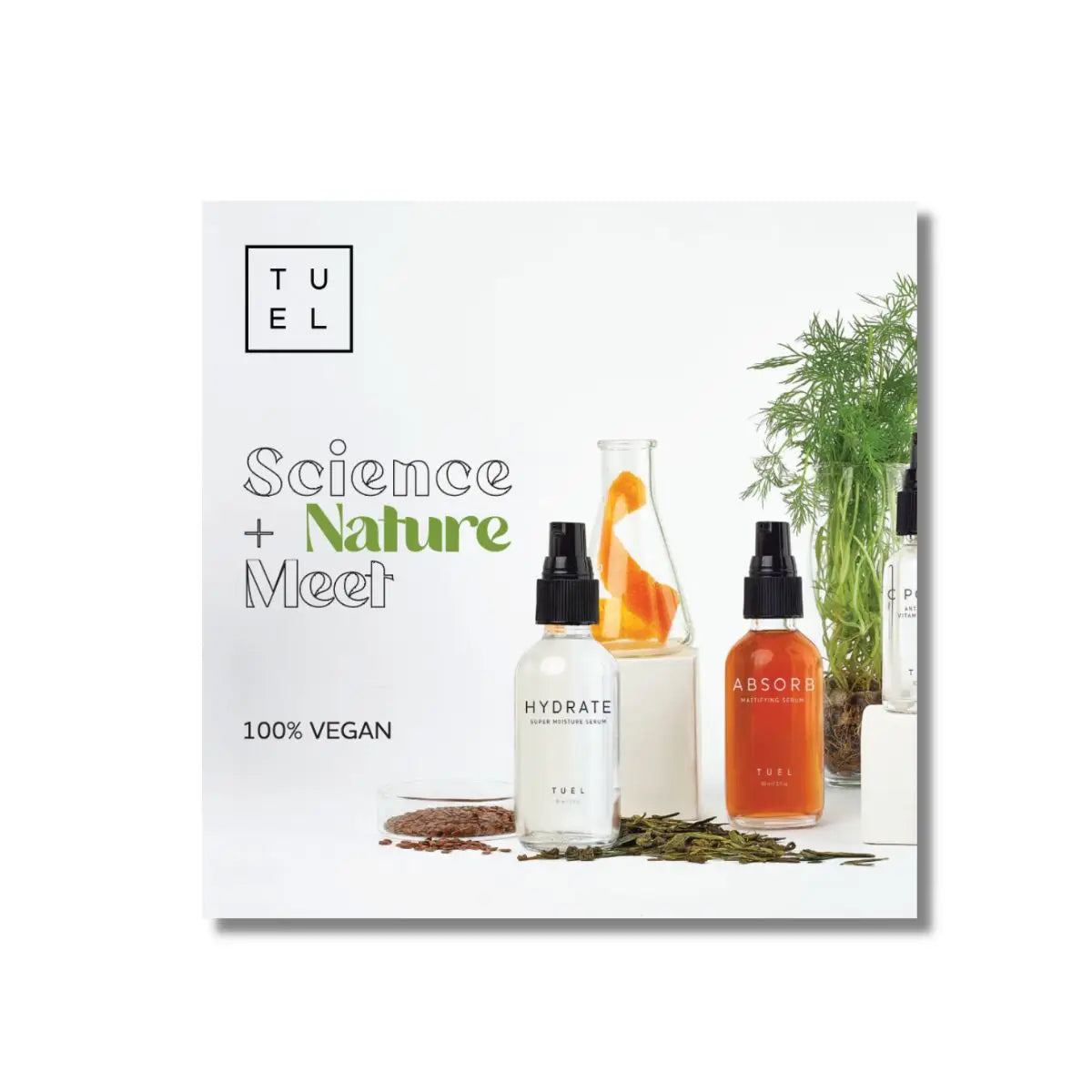 CosmetologistsNZ_WindowDecals (1) (1)