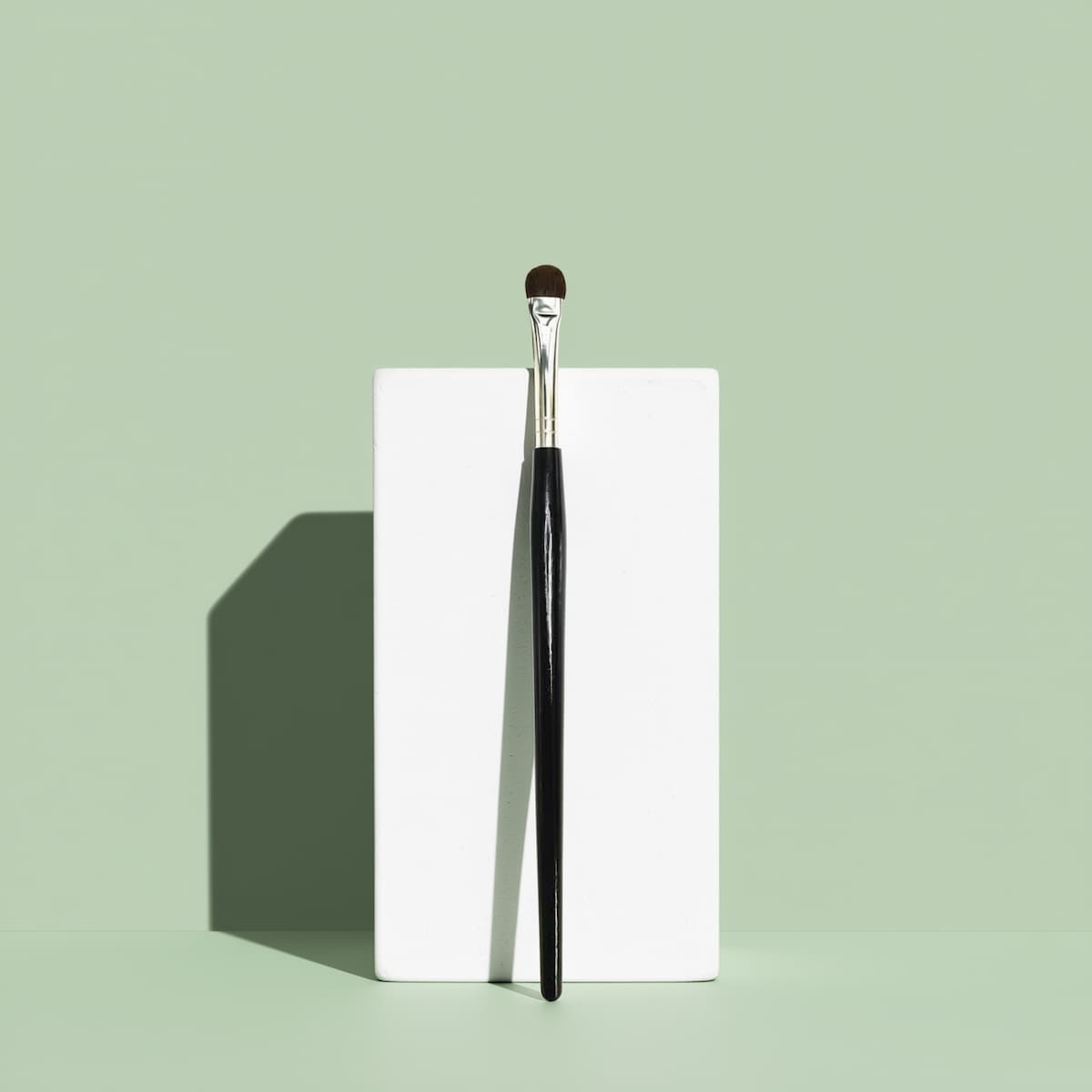 Eye SMudge Pro makeup Brush
